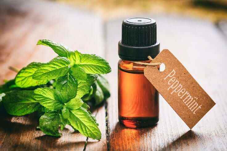 Binned Peppermint Binned liquid peppermint