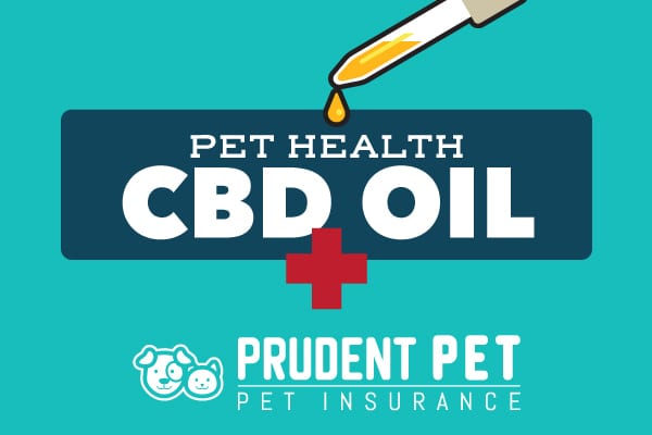 Prudent Pet CBD Oil for Pets Prudent Pet CBD oil logo