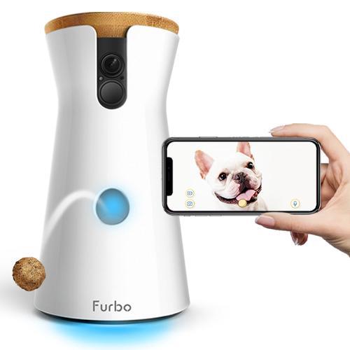 Furbo Furbo for Valentine's day gift from your dog