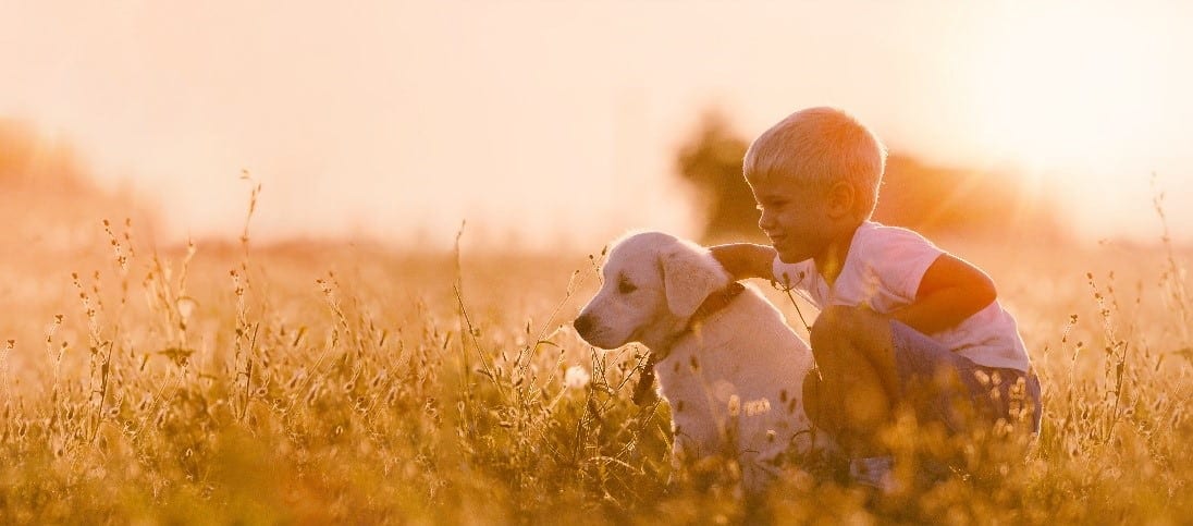 Little Boy Little boy and puppy at field