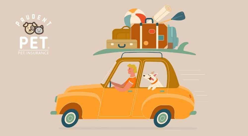 Orange car with human and dog traveling illustration