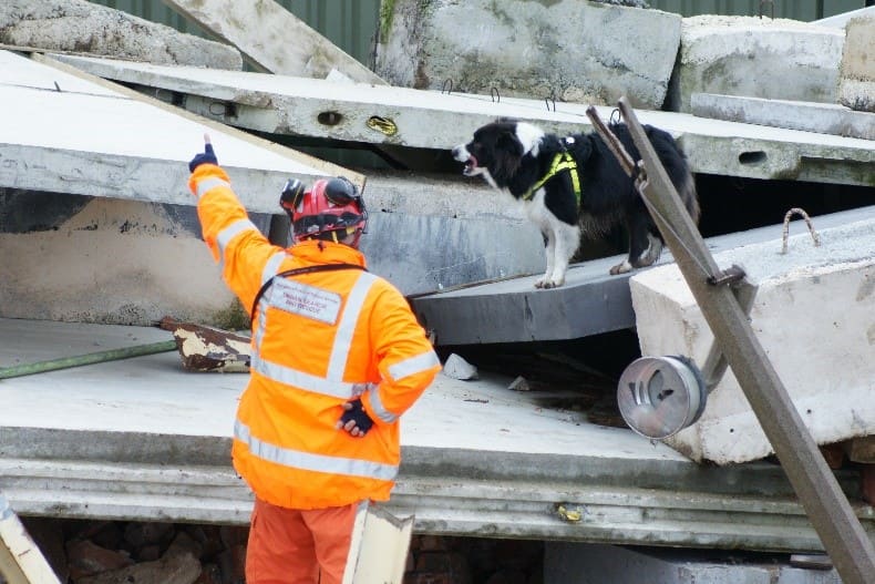 Fireman Dog Mission Fireman dog mission onsite