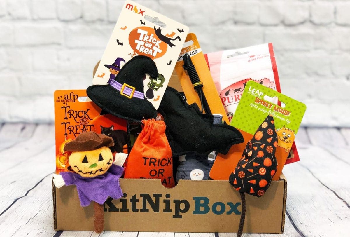 KitNipBox Inside Halloween theme toys in KitNipBox