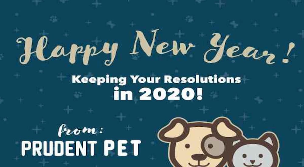 Prudent Pet New Year resolution 2020