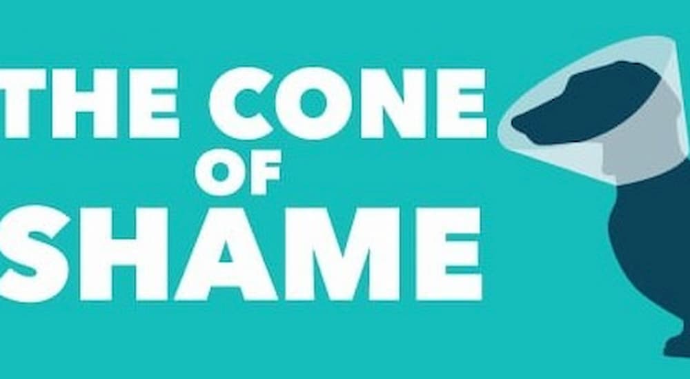 Dogs and the Cone of Shame banner