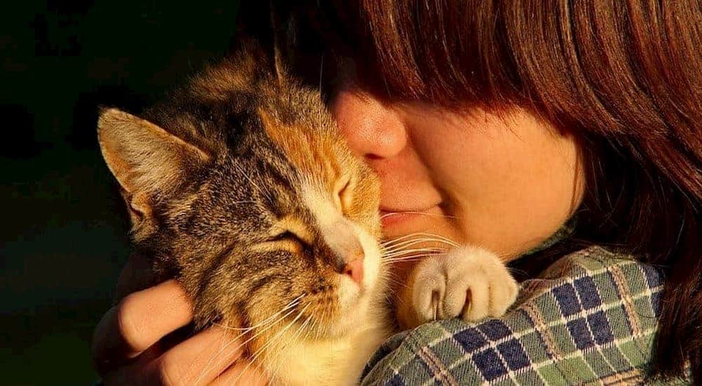 Woman hugs her cat