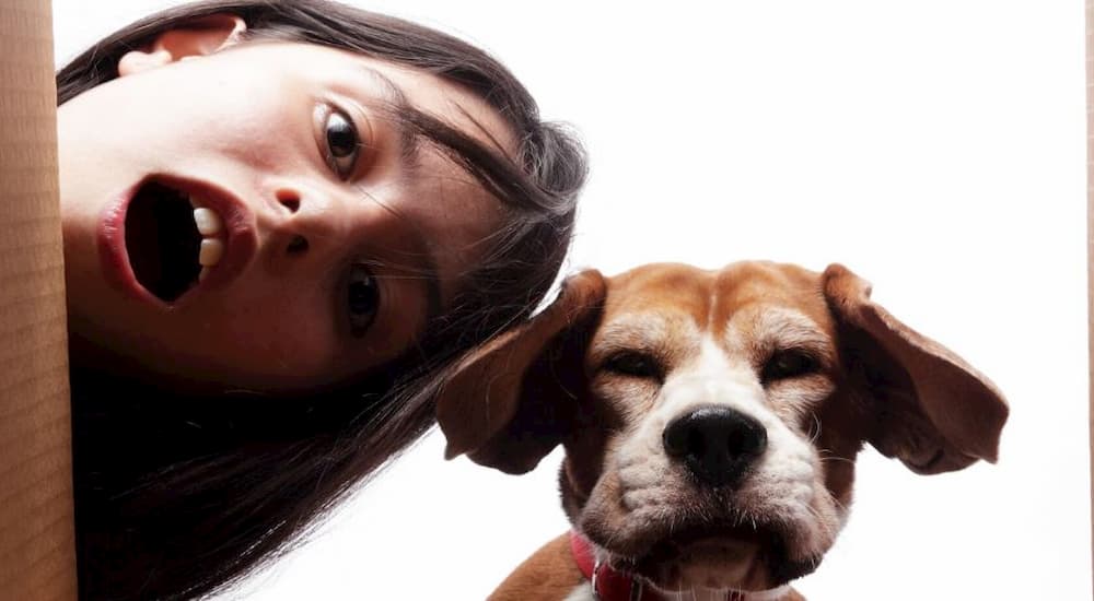 Dog and its parent get surprised at food delivery