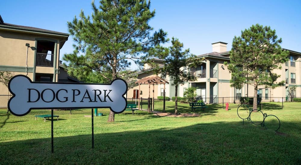 White sign with black letters reads Dog Park