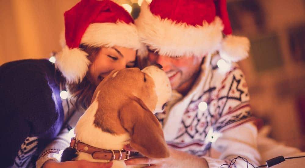 A Santa couple and dog