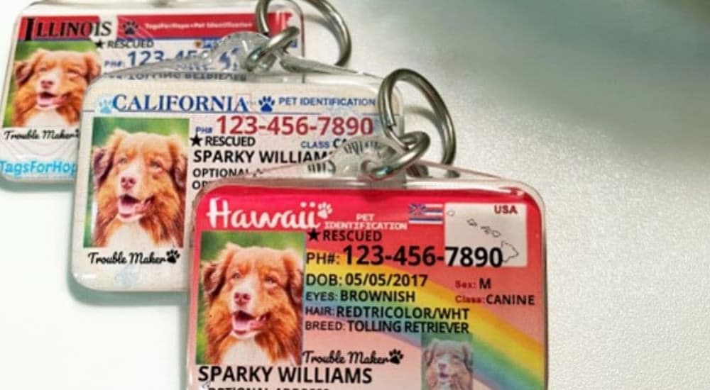 3 ID of Tags For Hope